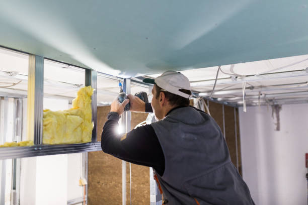 Best Insulation Installation Services in Nolensville, TN
